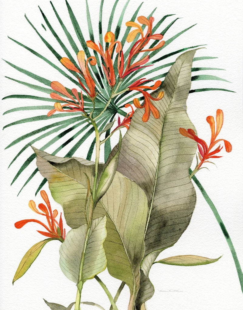 Botanical Flame Lilies Crop by Kathleen Parr McKenna