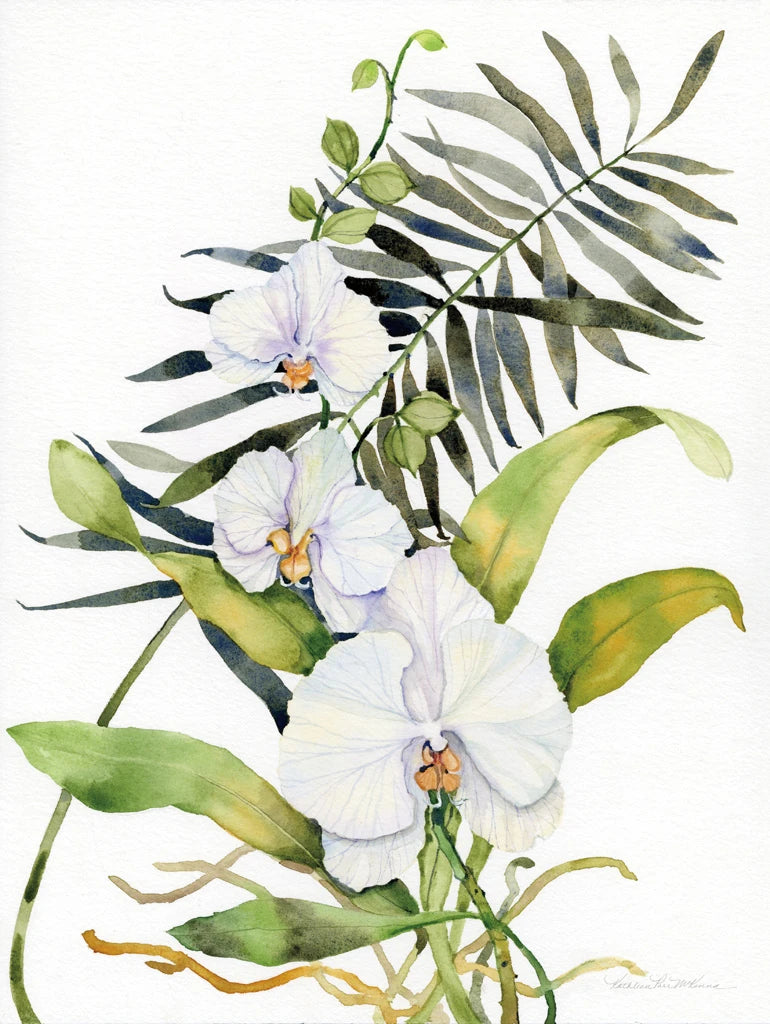 Botanical Phalaenopsis by Kathleen Parr McKenna