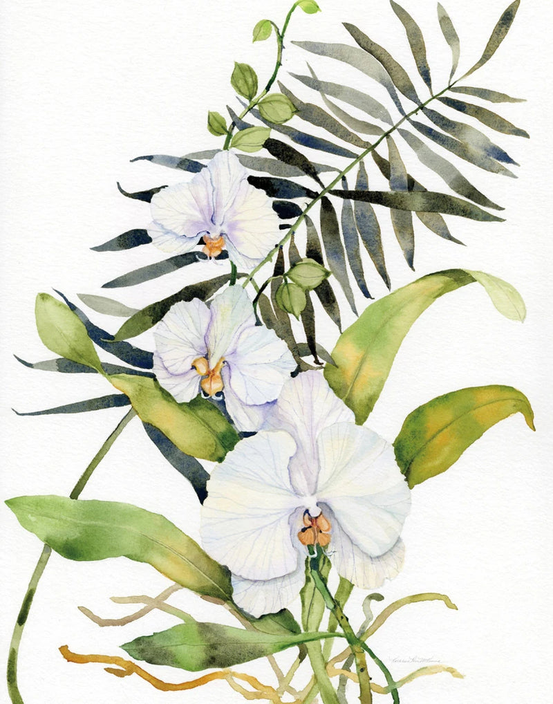 Botanical Phalaenopsis Crop by Kathleen Parr McKenna