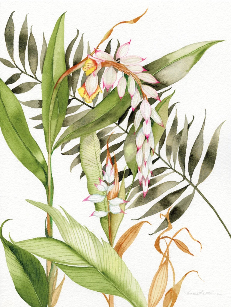 Botanical Shell Ginger by Kathleen Parr McKenna