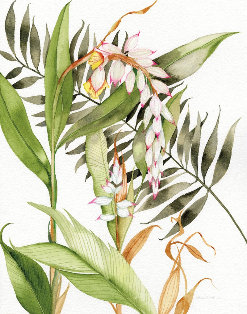 Botanical Shell Ginger Crop by Kathleen Parr McKenna