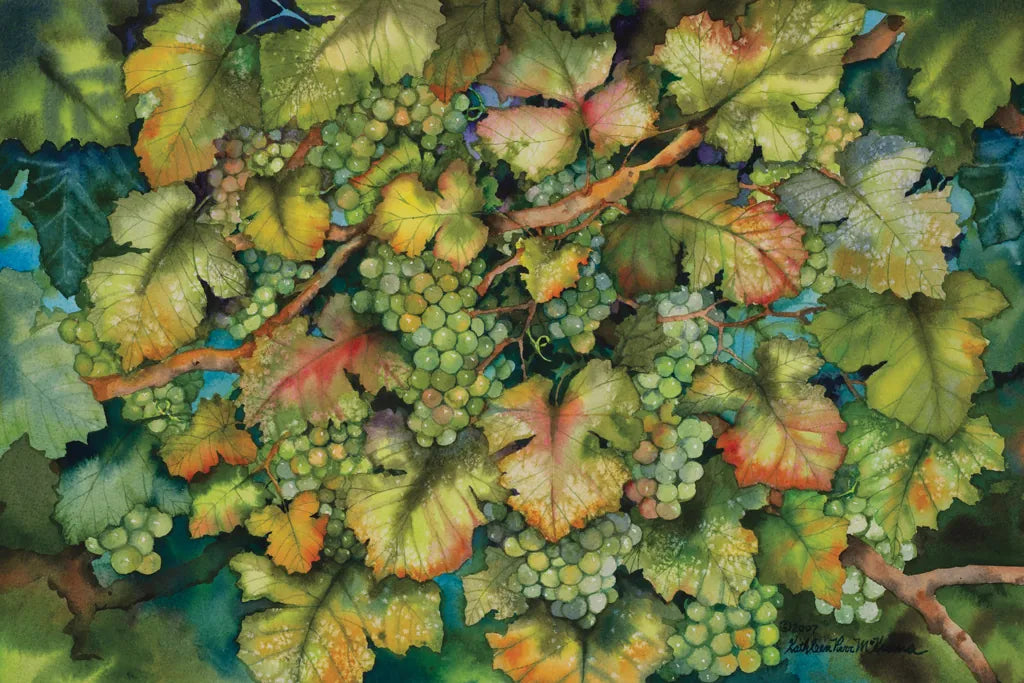 Chardonnay Grapes by Kathleen Parr McKenna. SKU 29606i. Archival Giclee Fine art print for wall decor.