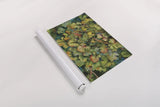 Chardonnay Grapes by Kathleen Parr McKenna. shown as a rolled paper print. Available as archival giclee rolled canvas, fine art paper, or poster print. SKU 29606i.