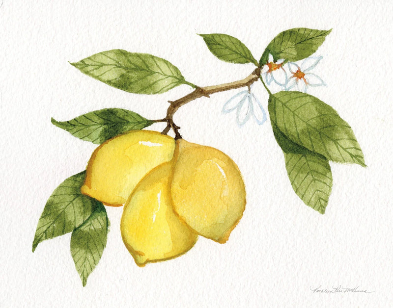 Citrus Garden I by Kathleen Parr McKenna