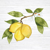 Citrus Garden I Shiplap by Kathleen Parr McKenna. SKU 47404a. Archival Giclee Fine art print for wall decor.