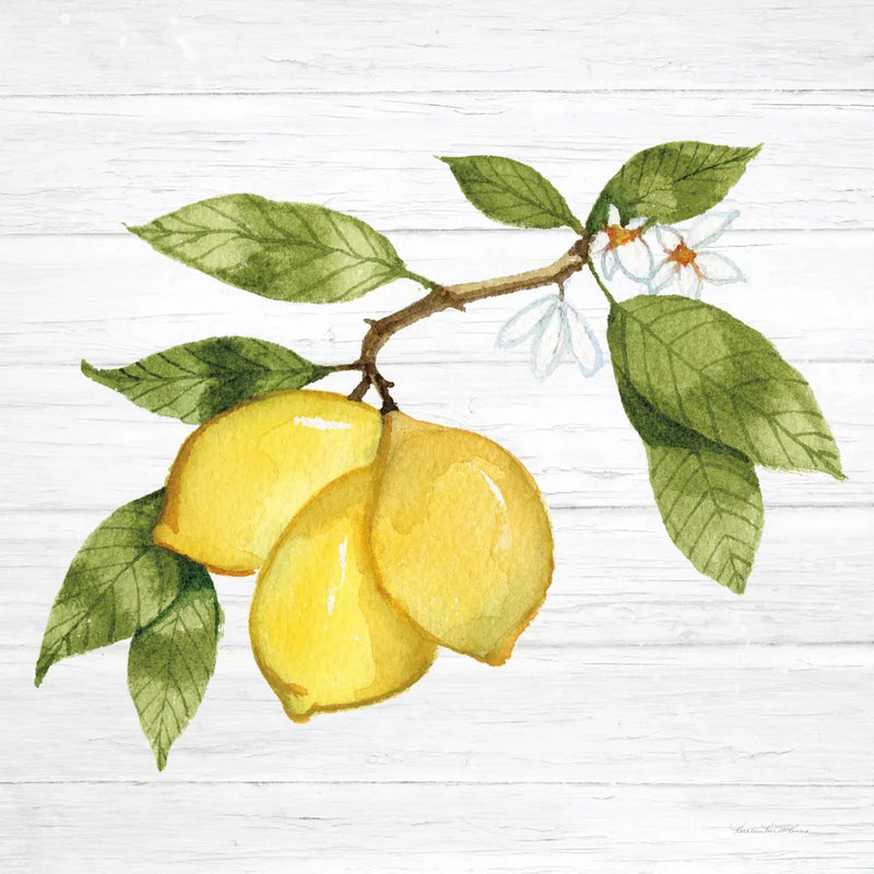 Citrus Garden I Shiplap by Kathleen Parr McKenna. SKU 47404a. Archival Giclee Fine art print for wall decor.