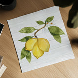 Citrus Garden I Shiplap by Kathleen Parr McKenna. Shown as a detailed flat fine art print, highlighting archival giclee quality. Available as an archival giclee rolled canvas, fine art paper, or poster print. SKU 47404a.