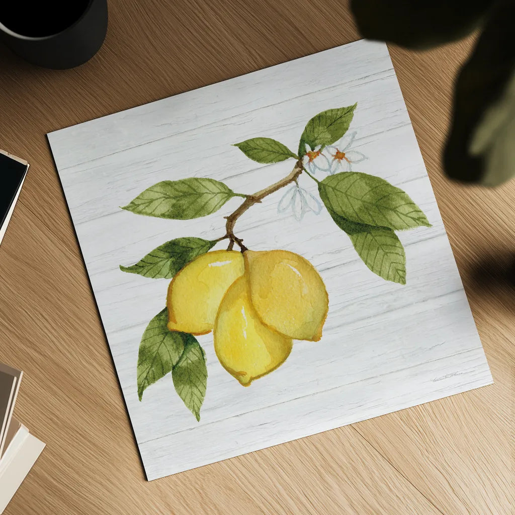 Citrus Garden I Shiplap by Kathleen Parr McKenna | Decorus Art