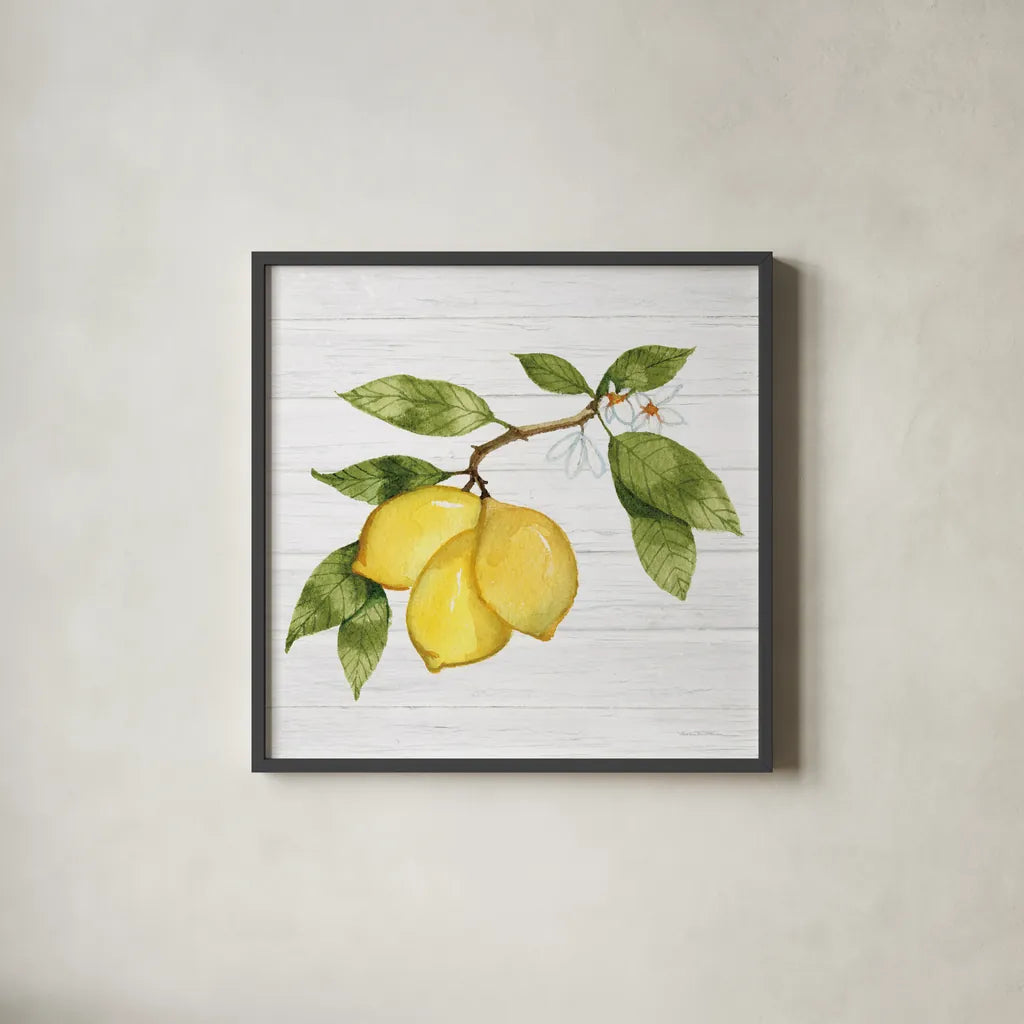 Citrus Garden I Shiplap by Kathleen Parr McKenna | Decorus Art