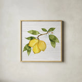 Citrus Garden I Shiplap by Kathleen Parr McKenna. Shown in a natural wood glass frame for a timeless modern aesthetic. Available as an archival giclee rolled canvas, fine art paper, or poster print. SKU 47404a.