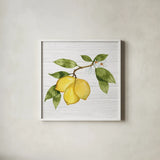 Citrus Garden I Shiplap by Kathleen Parr McKenna. Shown in a crisp white glass frame for a clean and minimalist style. Available as an archival giclee rolled canvas, fine art paper, or poster print. SKU 47404a.