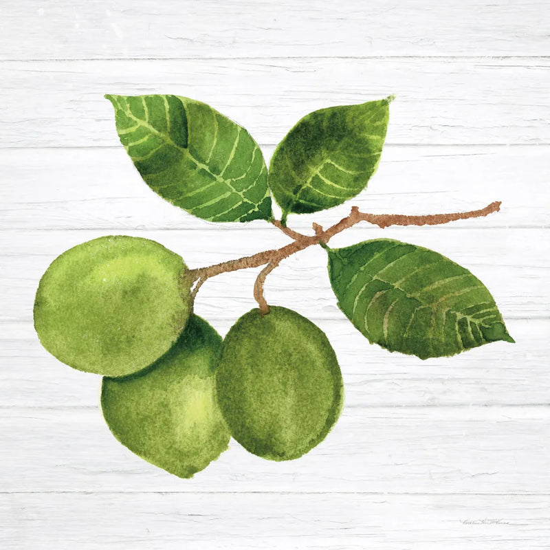 Citrus Garden II Shiplap by Kathleen Parr McKenna. SKU 47405a. Archival Giclee Fine art print for wall decor.