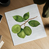 Citrus Garden II Shiplap by Kathleen Parr McKenna. Shown as a detailed flat fine art print, highlighting archival giclee quality. Available as an archival giclee rolled canvas, fine art paper, or poster print. SKU 47405a.
