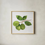 Citrus Garden II Shiplap by Kathleen Parr McKenna. Shown in a natural wood glass frame for a timeless modern aesthetic. Available as an archival giclee rolled canvas, fine art paper, or poster print. SKU 47405a.