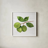 Citrus Garden II Shiplap by Kathleen Parr McKenna. Shown in a crisp white glass frame for a clean and minimalist style. Available as an archival giclee rolled canvas, fine art paper, or poster print. SKU 47405a.