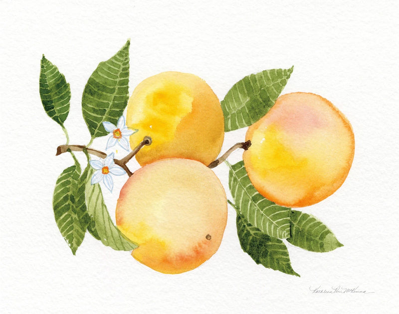 Citrus Garden III by Kathleen Parr McKenna
