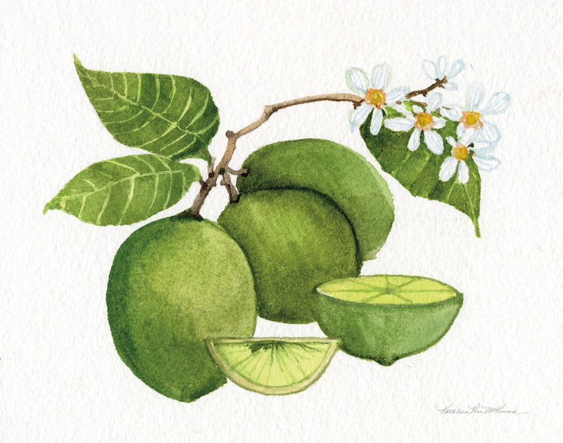 Citrus Garden IV by Kathleen Parr McKenna