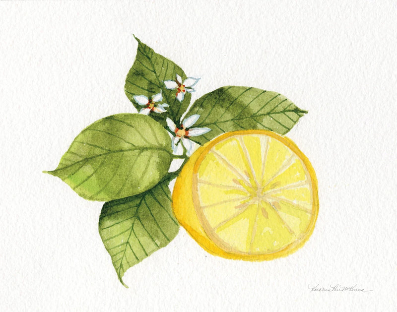 Citrus Garden IX by Kathleen Parr McKenna