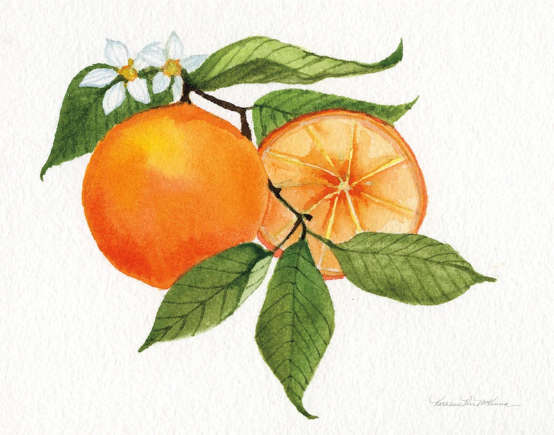 Citrus Garden V by Kathleen Parr McKenna