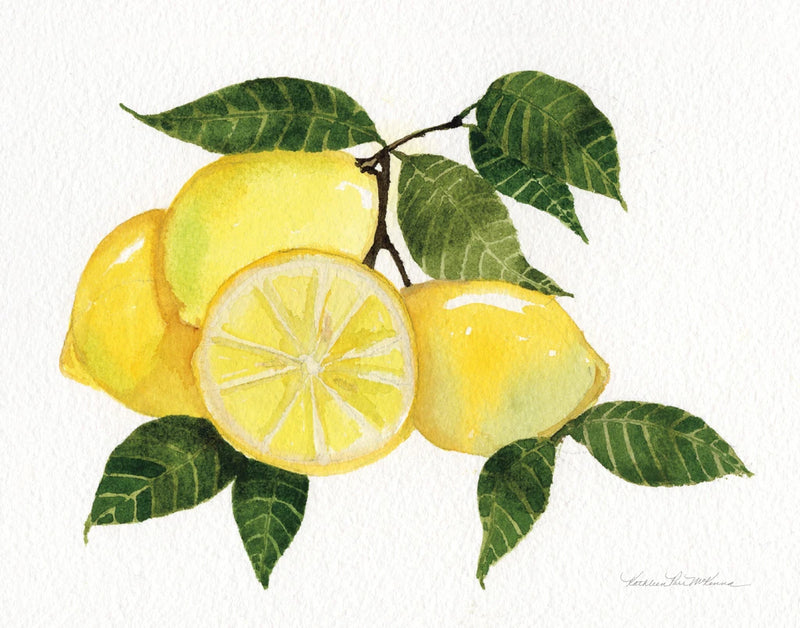 Citrus Garden VI by Kathleen Parr McKenna
