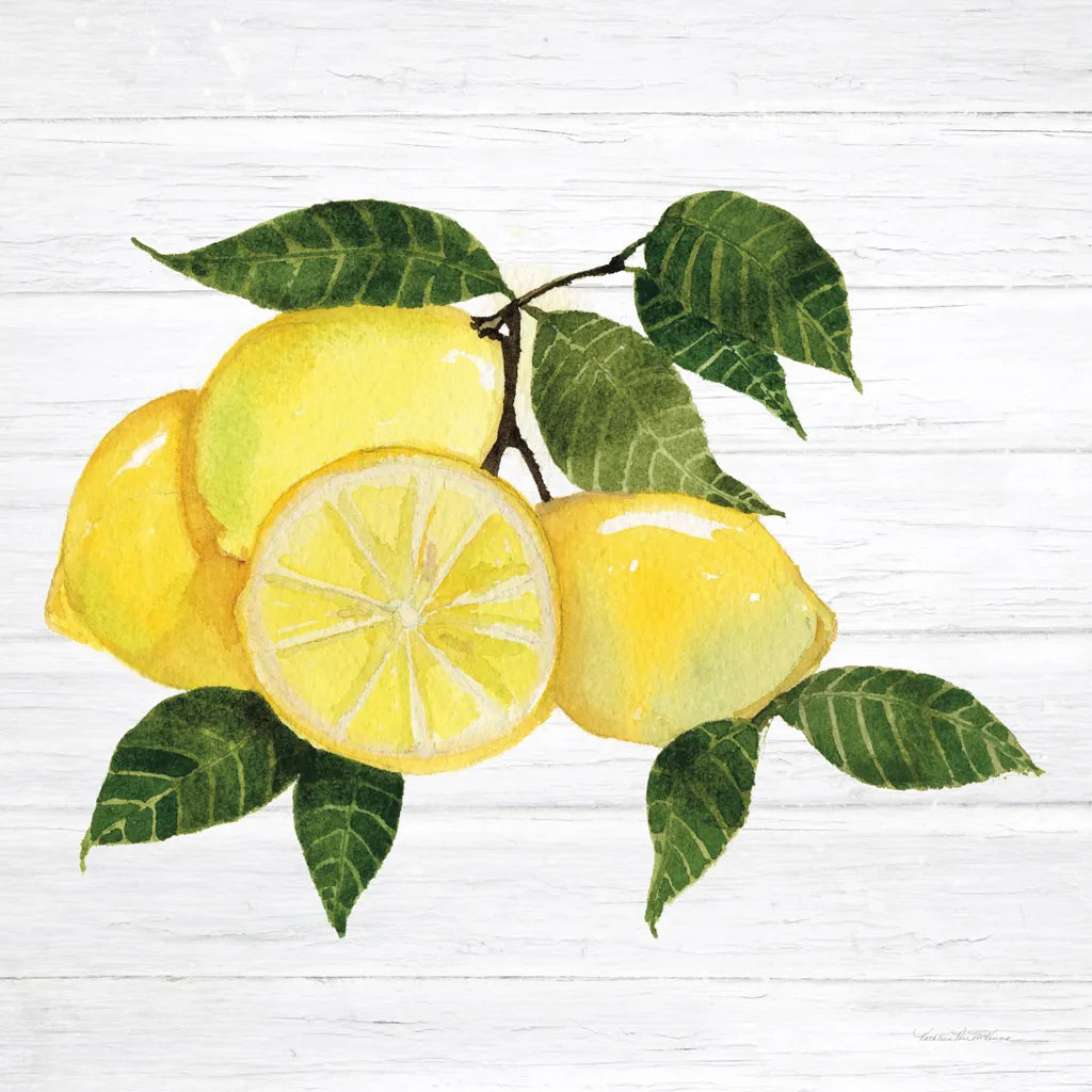 Citrus Garden VI Shiplap by Kathleen Parr McKenna. SKU 47406a. Archival Giclee Fine art print for wall decor.