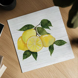 Citrus Garden VI Shiplap by Kathleen Parr McKenna. Shown as a detailed flat fine art print, highlighting archival giclee quality. Available as an archival giclee rolled canvas, fine art paper, or poster print. SKU 47406a.