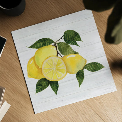 Citrus Garden VI Shiplap by Kathleen Parr McKenna. Shown as a detailed flat fine art print, highlighting archival giclee quality. Available as an archival giclee rolled canvas, fine art paper, or poster print. SKU 47406a.