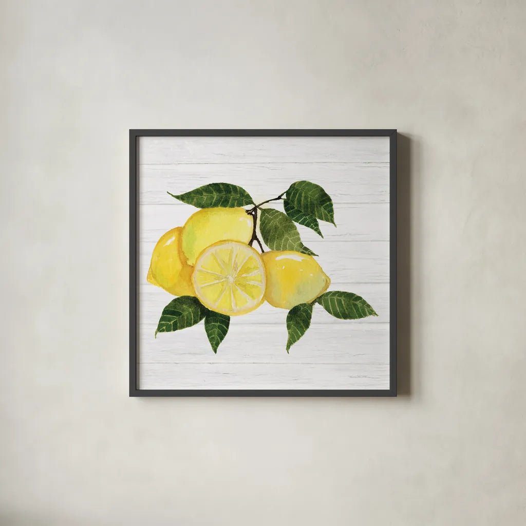 Citrus Garden VI Shiplap by Kathleen Parr McKenna. Shown in a sleek black glass frame for a contemporary gallery look. Available as an archival giclee rolled canvas, fine art paper, or poster print. SKU 47406a.
