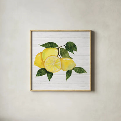 Citrus Garden VI Shiplap by Kathleen Parr McKenna. Shown in a natural wood glass frame for a timeless modern aesthetic. Available as an archival giclee rolled canvas, fine art paper, or poster print. SKU 47406a.