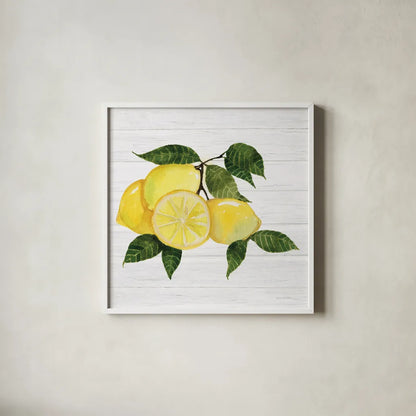 Citrus Garden VI Shiplap by Kathleen Parr McKenna. Shown in a crisp white glass frame for a clean and minimalist style. Available as an archival giclee rolled canvas, fine art paper, or poster print. SKU 47406a.