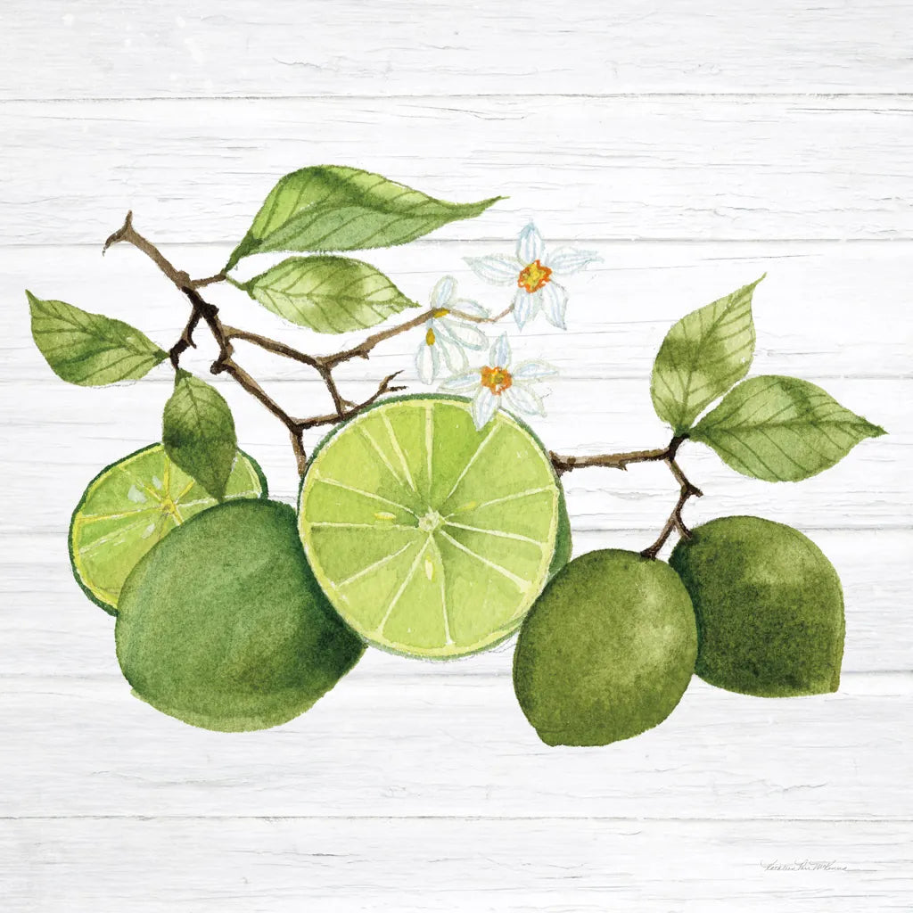 Citrus Garden VII Shiplap by Kathleen Parr McKenna. SKU 47407a. Archival Giclee Fine art print for wall decor.