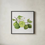Citrus Garden VII Shiplap by Kathleen Parr McKenna. Shown in a sleek black glass frame for a contemporary gallery look. Available as an archival giclee rolled canvas, fine art paper, or poster print. SKU 47407a.