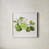 Citrus Garden VII Shiplap by Kathleen Parr McKenna. Shown in a crisp white glass frame for a clean and minimalist style. Available as an archival giclee rolled canvas, fine art paper, or poster print. SKU 47407a.