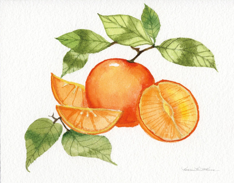 Citrus Garden VIII by Kathleen Parr McKenna