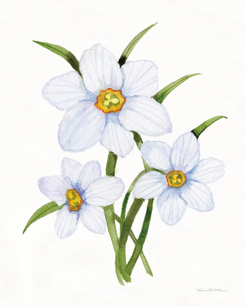 Easter Blessing Flowers I by Kathleen Parr McKenna