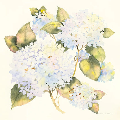 Hydrangeas by Kathleen Parr McKenna. SKU 46644a. Archival Giclee Fine art print for wall decor.