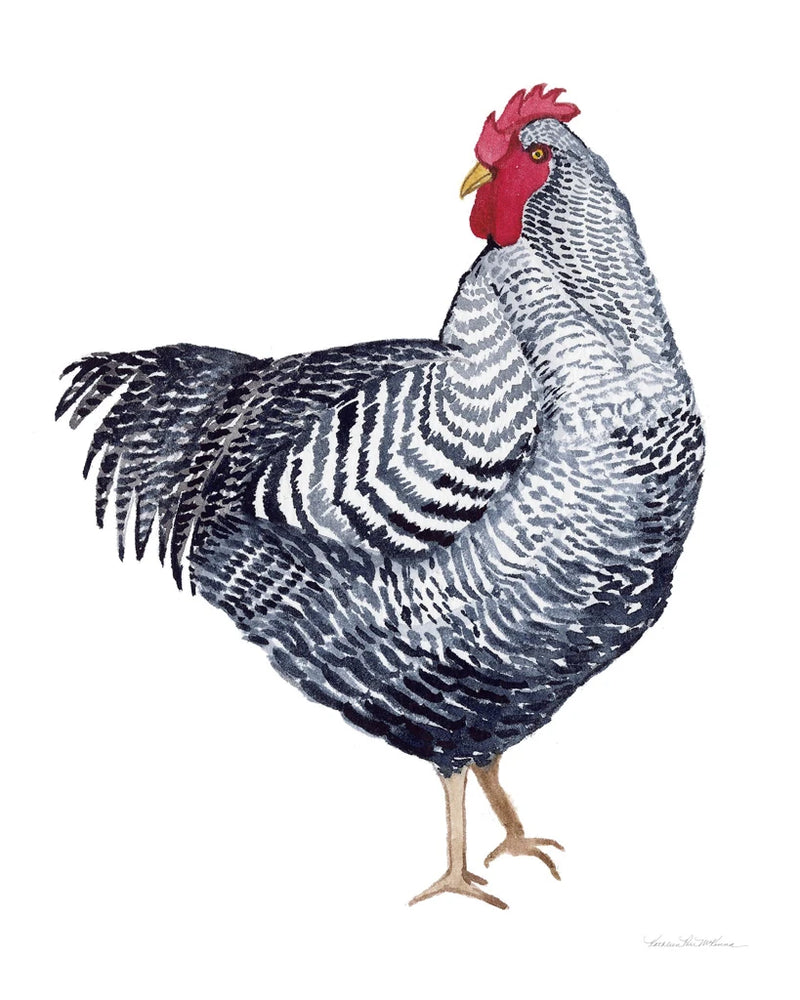 Life on the Farm Chicken Element I by Kathleen Parr McKenna