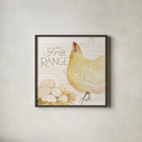 Life on the Farm Chicken IV by Kathleen Parr McKenna. Shown in a sleek black glass frame for a contemporary gallery look. Available as an archival giclee rolled canvas, fine art paper, or poster print. SKU 34557a.
