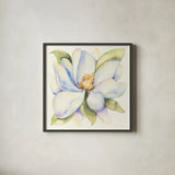 Magnolia by Kathleen Parr McKenna. Shown in a sleek black glass frame for a contemporary gallery look. Available as an archival giclee rolled canvas, fine art paper, or poster print. SKU 46646a.