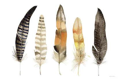 Natural Feathers by Kathleen Parr McKenna. SKU 66041i. Archival Giclee Fine art print for wall decor.