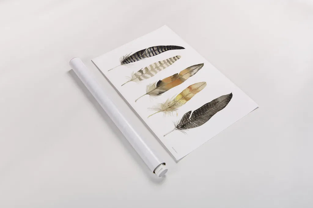 Natural Feathers by Kathleen Parr McKenna. shown as a rolled paper print. Available as archival giclee rolled canvas, fine art paper, or poster print. SKU 66041i.