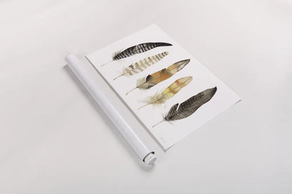 Natural Feathers by Kathleen Parr McKenna. shown as a rolled paper print. Available as archival giclee rolled canvas, fine art paper, or poster print. SKU 66041i.