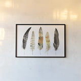 Natural Feathers by Kathleen Parr McKenna. shown as a paper print in a black flame. Available as a archival giclee rolled canvas, fine art paper, or poster print. SKU 66041i.