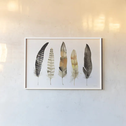 Natural Feathers by Kathleen Parr McKenna. shown as a paper print in a white frame. Available as a archival giclee rolled canvas, fine art paper, or poster print. SKU 66041i.