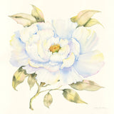 Peony by Kathleen Parr McKenna. SKU 46647a. Archival Giclee Fine art print for wall decor.