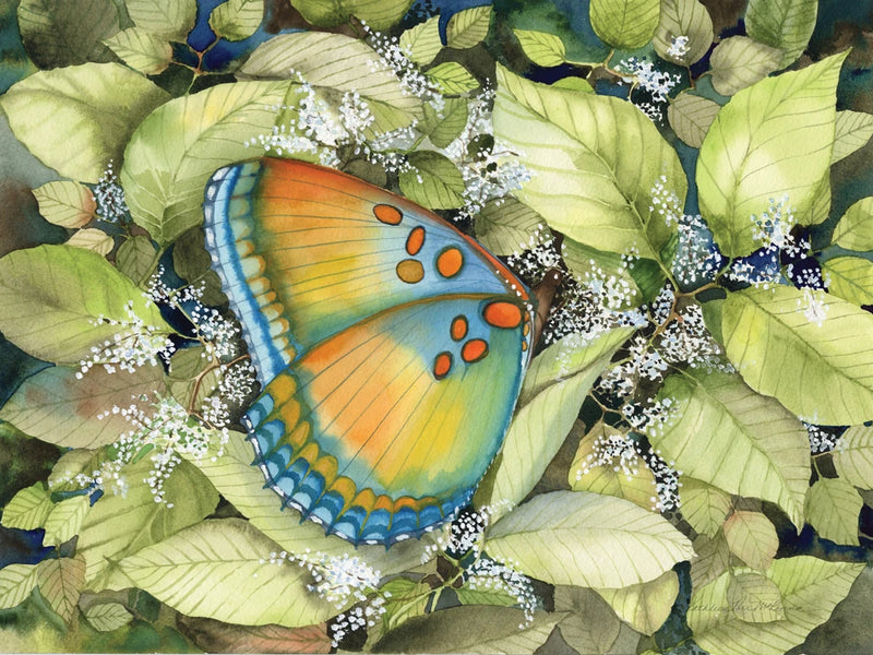Royal Butterfly by Kathleen Parr McKenna