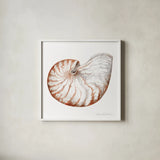 Shells I by Kathleen Parr McKenna. Shown in a crisp white glass frame for a clean and minimalist style. Available as an archival giclee rolled canvas, fine art paper, or poster print. SKU 16940a.