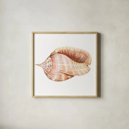 Shells II by Kathleen Parr McKenna. Shown in a natural wood glass frame for a timeless modern aesthetic. Available as an archival giclee rolled canvas, fine art paper, or poster print. SKU 16941a.