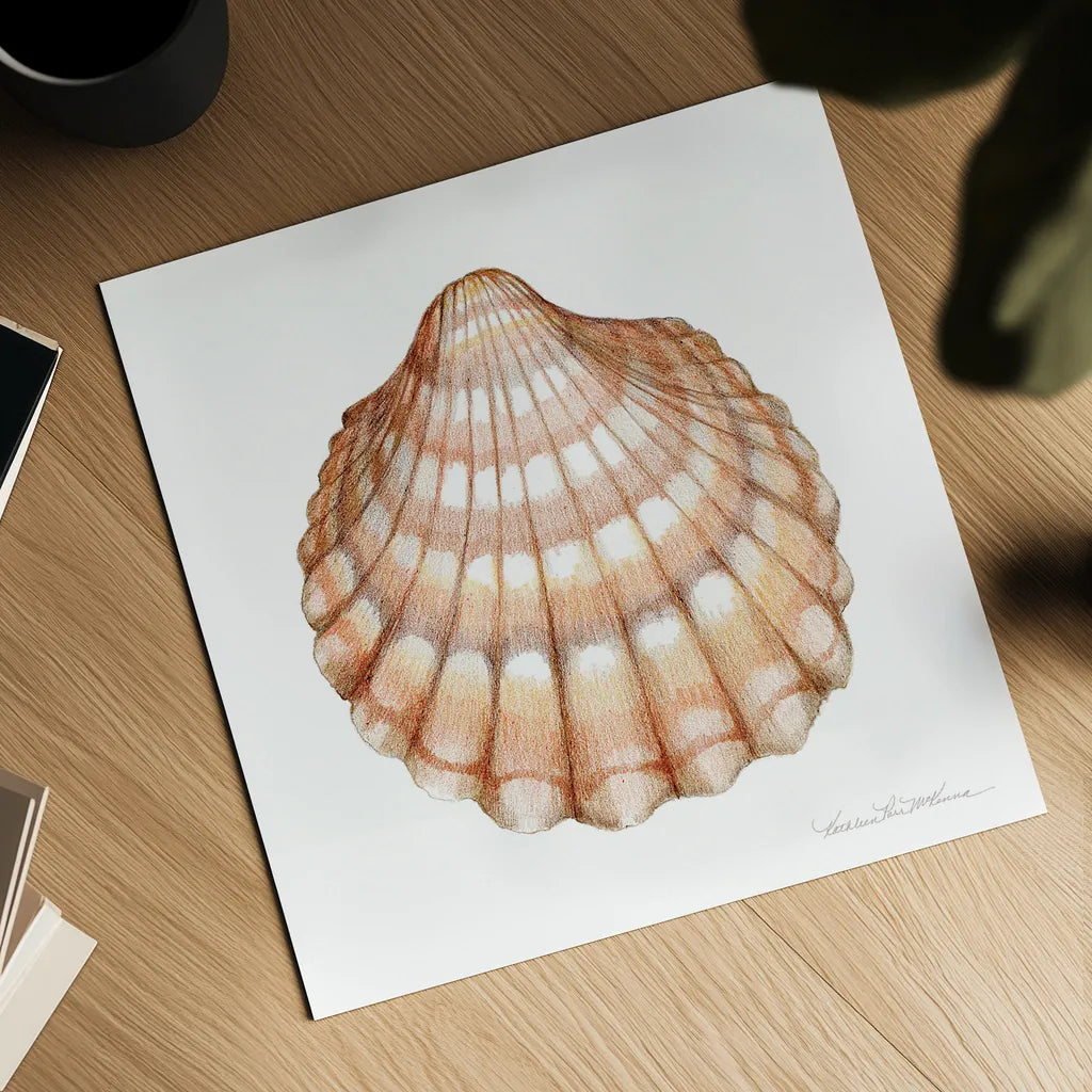 Shells III by Kathleen Parr McKenna. Shown as a detailed flat fine art print, highlighting archival giclee quality. Available as an archival giclee rolled canvas, fine art paper, or poster print. SKU 16942a.