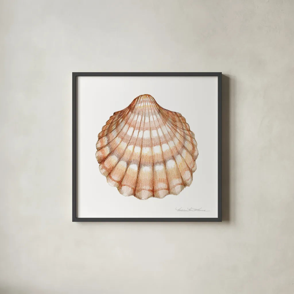 Shells III by Kathleen Parr McKenna. Shown in a sleek black glass frame for a contemporary gallery look. Available as an archival giclee rolled canvas, fine art paper, or poster print. SKU 16942a.